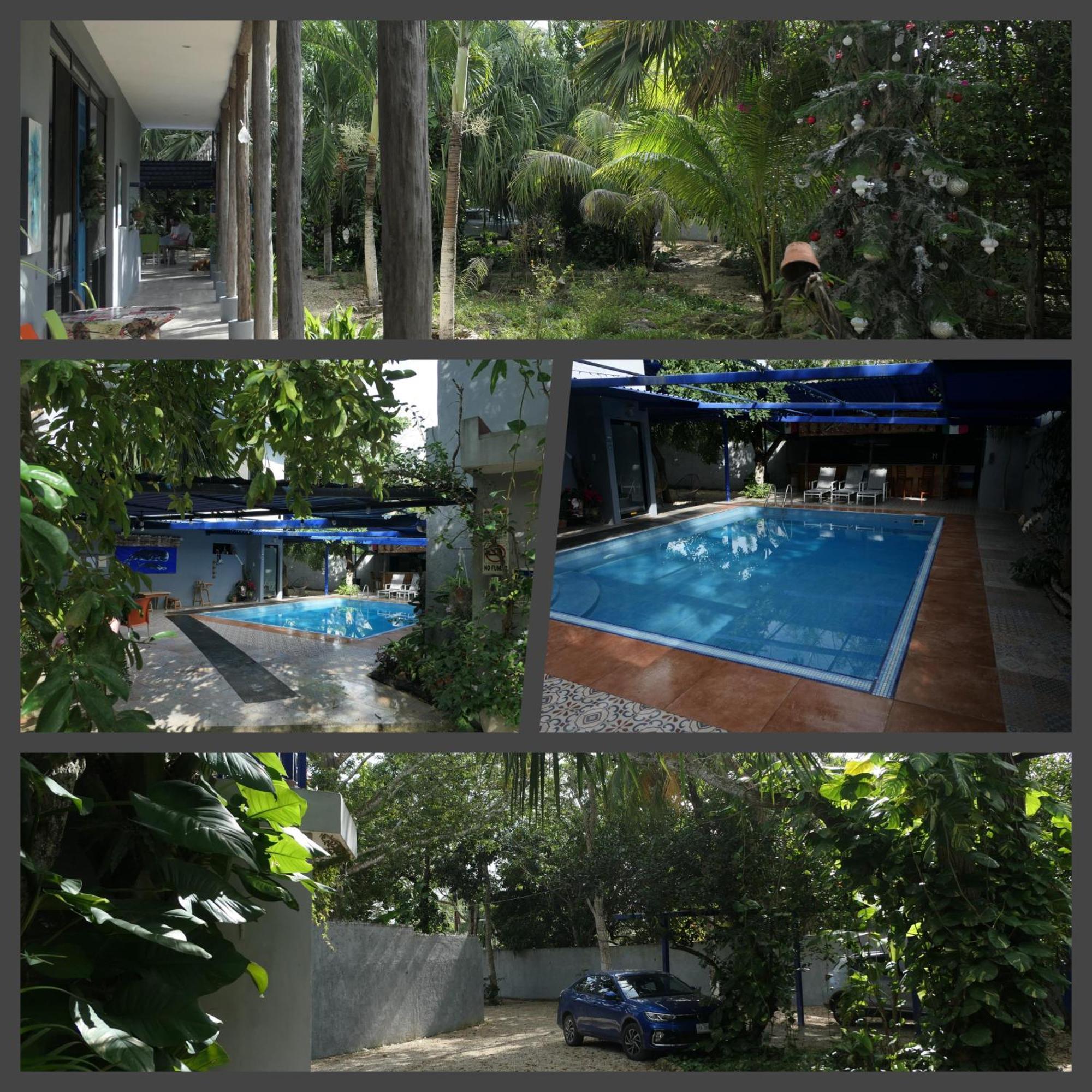 The Blue Eco Lodge Tikuch 외부 사진